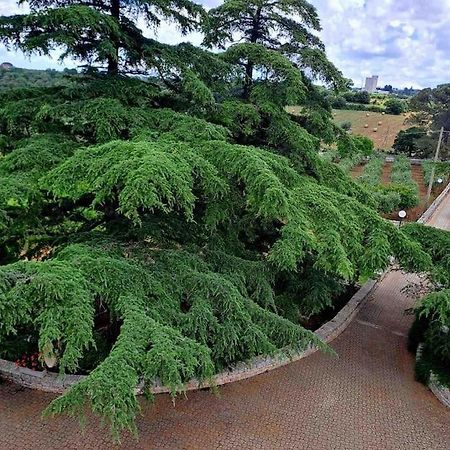 Casina Foggia Dell'Albero Lejlighed Putignano Eksteriør billede