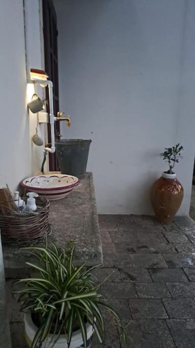 Casina Foggia Dell'Albero Lejlighed Putignano Eksteriør billede